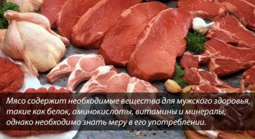 Это мясо непревзойденный источник питательных веществ г мяса могут заменить литр молока