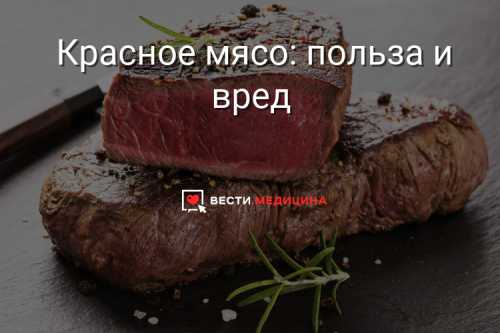 Мясо: польза и вред, какое мясо полезнее, кому