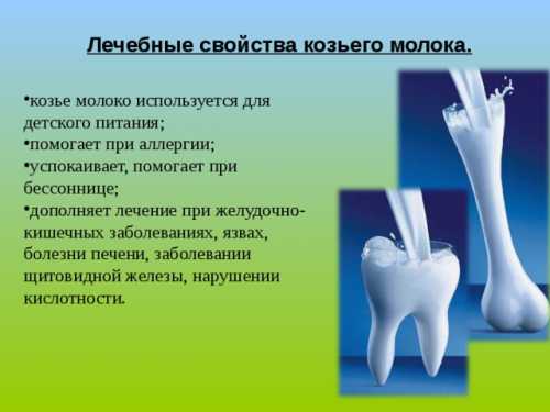 Особенно полезным продуктом из козьего молока считается именно творог, который можно приготовить из свежего продукта самостоятельно или приобрести на рынке или в магазине, хотя в продаже он, к сожалению, встречается пока еще нечасто