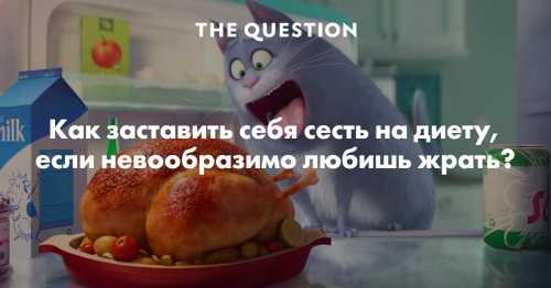 Частые приемы от до раз в сутки маленьких порций еды гарантируют, что вы не будете голодны в течение дня