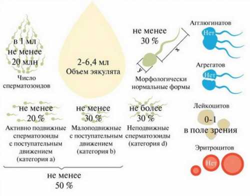 Помимо пчелиной перги, очень эффективными оказываются и прочие средства на основе продуктов пчеловодства, такие как мед, трутневое и маточное молочко, а также медикаментозные препараты