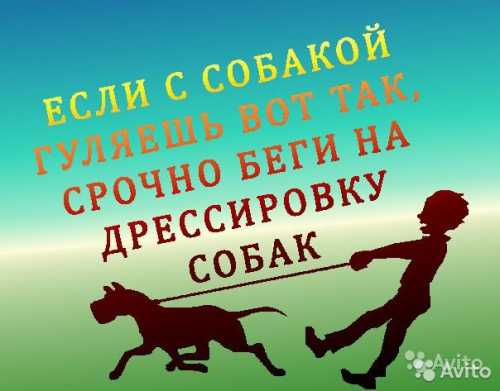 Если у вас близкие и доверительные отношения в коллективе, то сказать, конечно же, стоит