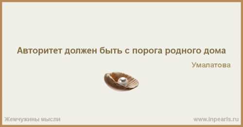 Не в службу, а в дружбу: 5 советов от дрессировщика