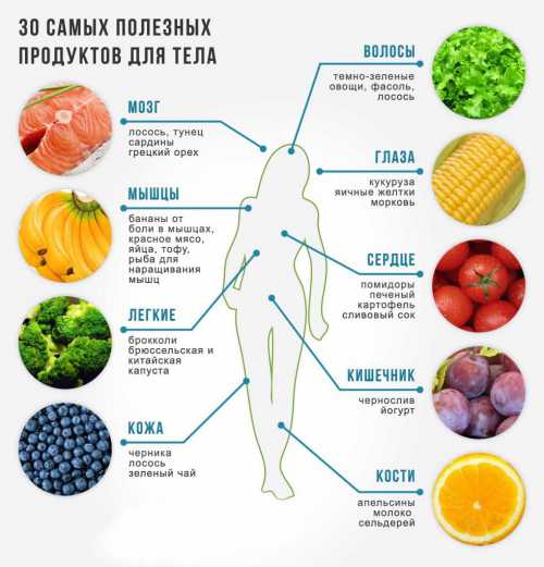 Самые  полезные овощи: описание состава разных