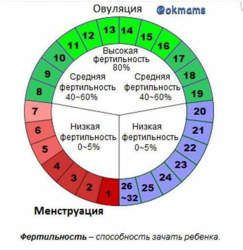 Это возможно при сбоях гормональной выработки и дисфункции яичников, вследствие чего менструальный цикл считается ановуля торным