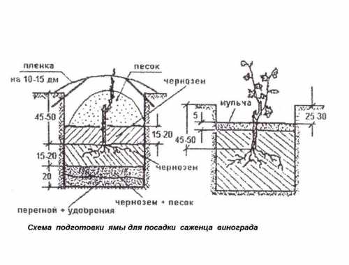 Для этого возьмем пластиковую трубу, диаметром примерно см и воткнем ее в слой щебня на расстоянии см от края ямы