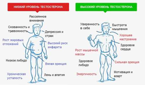 Низкий  тестостерон у мужчин: симптомы, причины,