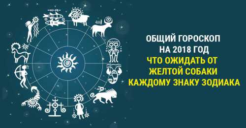 Прикольный гороскоп по знакам Зодиака на 2018 год Собаки